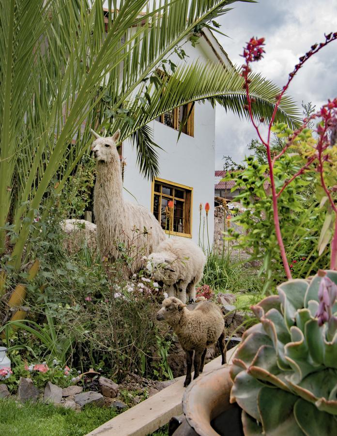 Inkita Boutique Guesthouse Cusco Extérieur photo