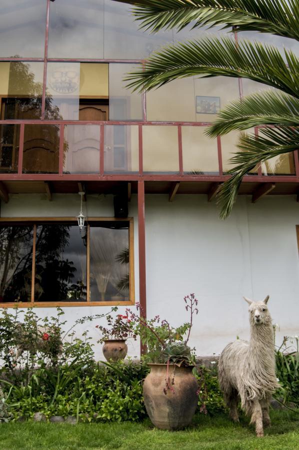 Inkita Boutique Guesthouse Cusco Extérieur photo